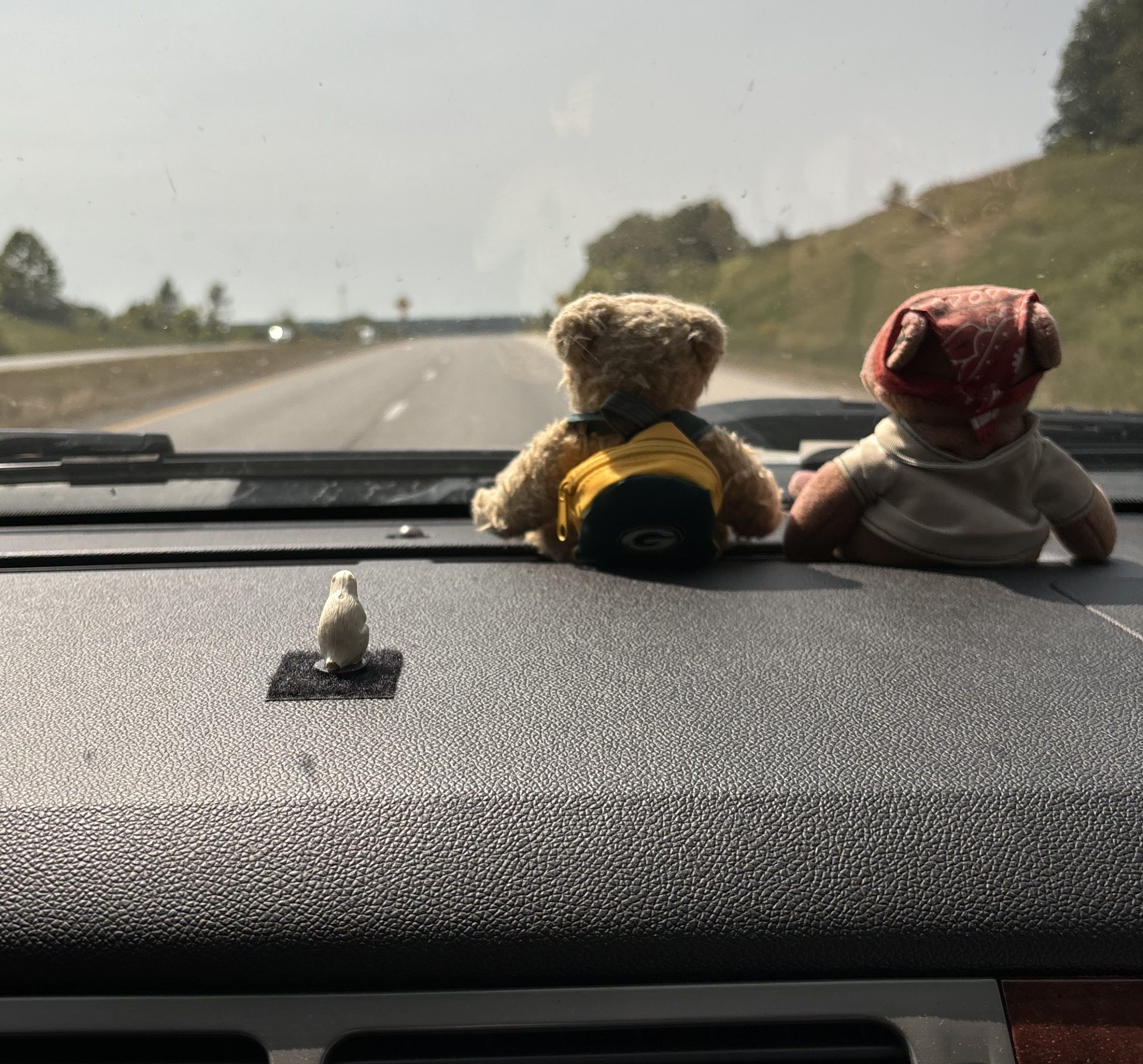 The real Paulie — a one-inch plastic marmot riding the dashboard