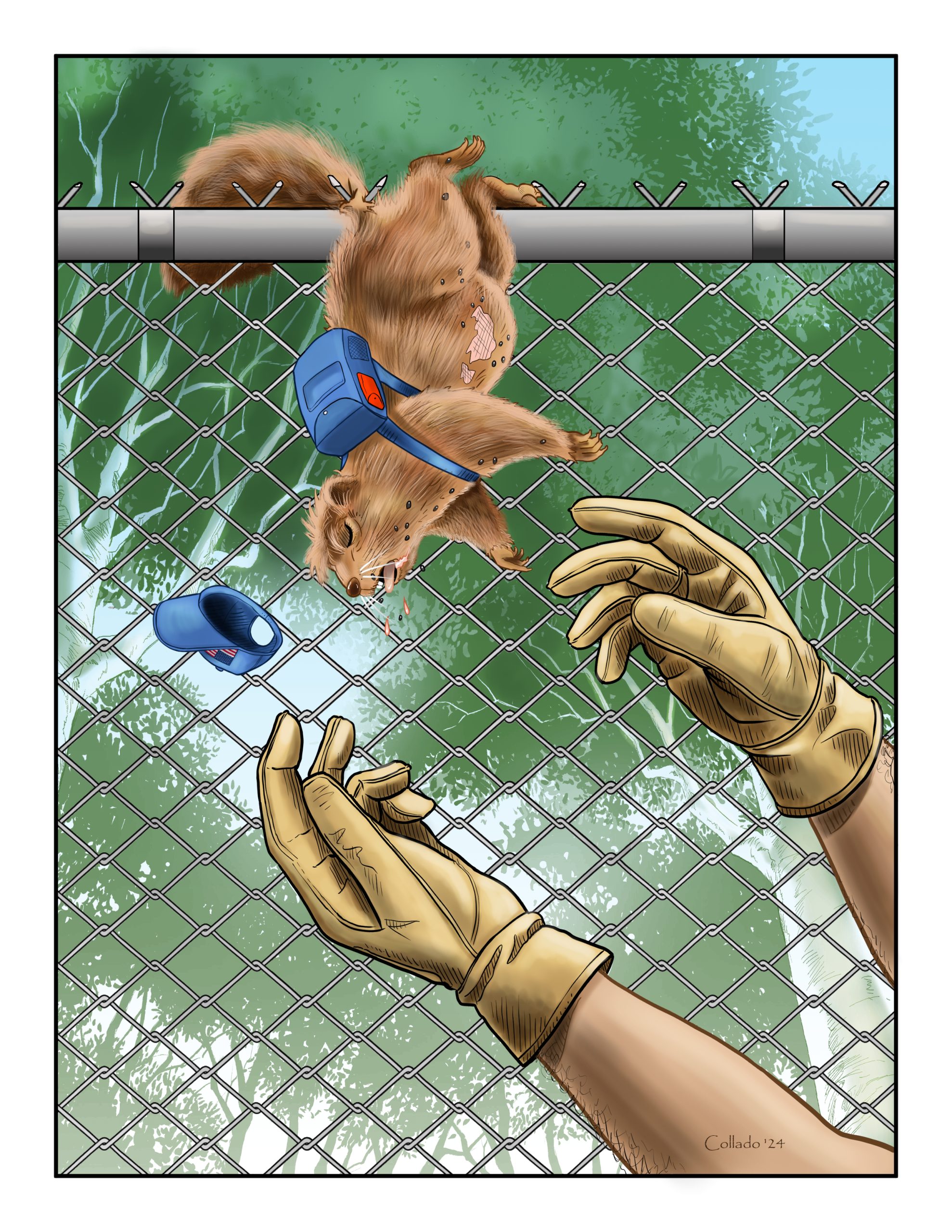 Illustration 4 from the Tales of Paulie series